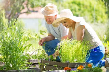An elderly couple in the garden together.