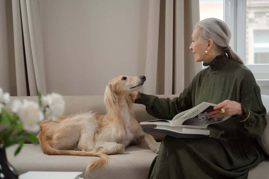 Image of a senior engaging in pet therapy with a dog beside them.